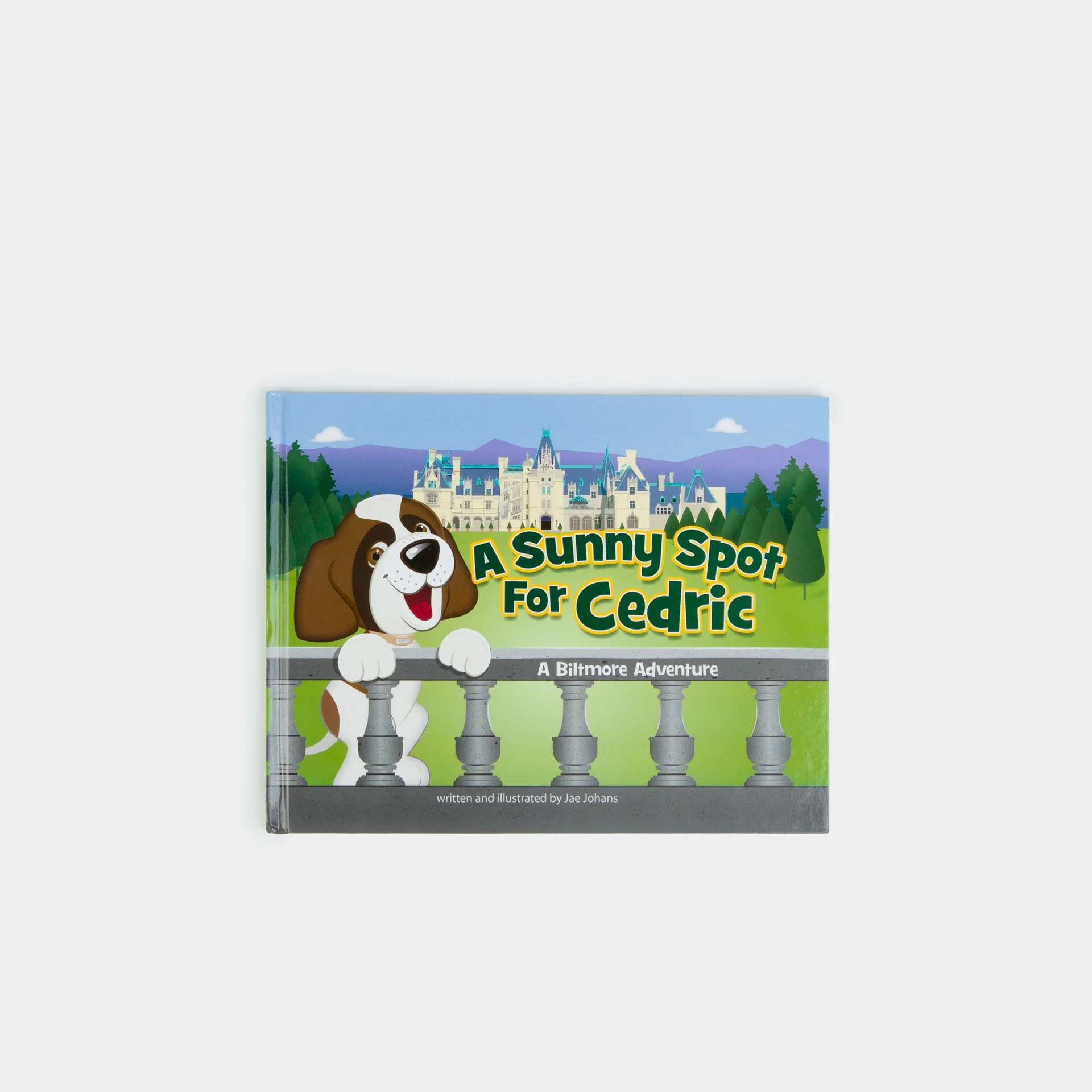 Thumbnail 1